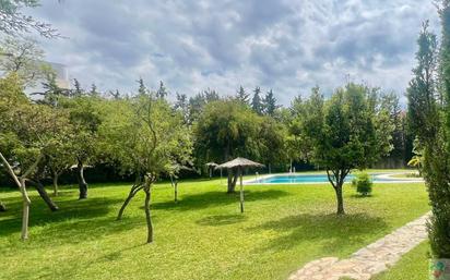 Garden of Flat for sale in Estepona  with Terrace and Community pool