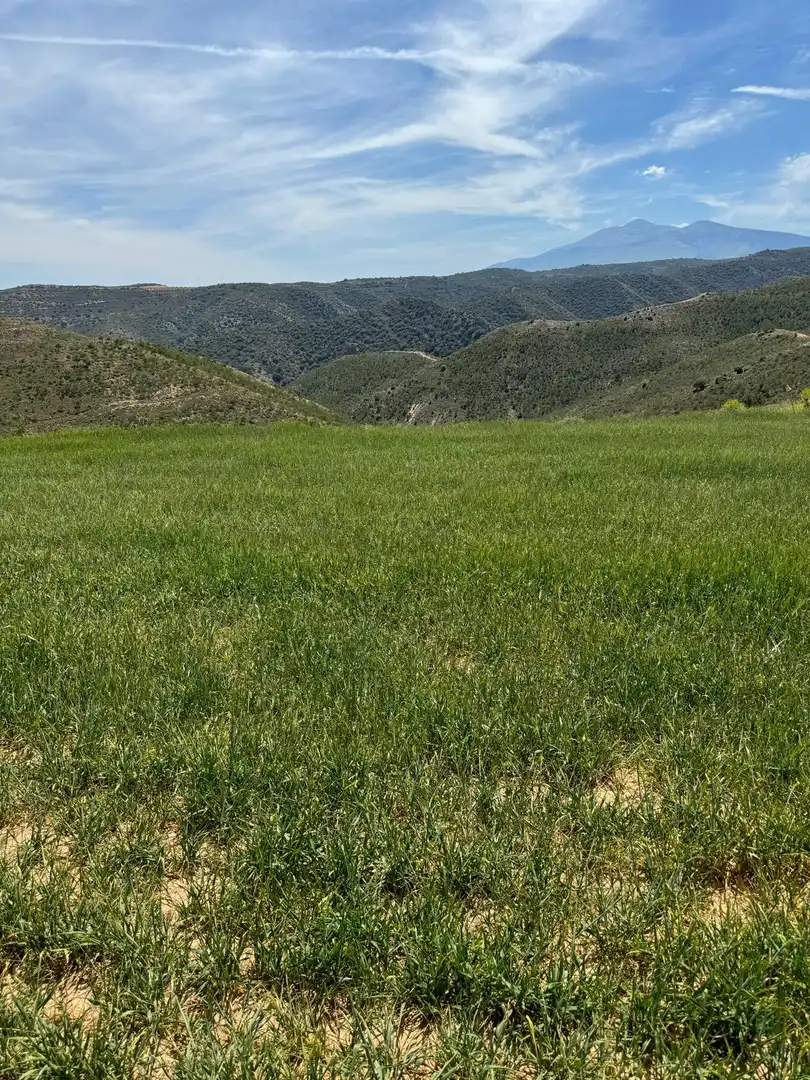 Terreno rustico in vendita a Cervera del Río Alhama, imagen 7