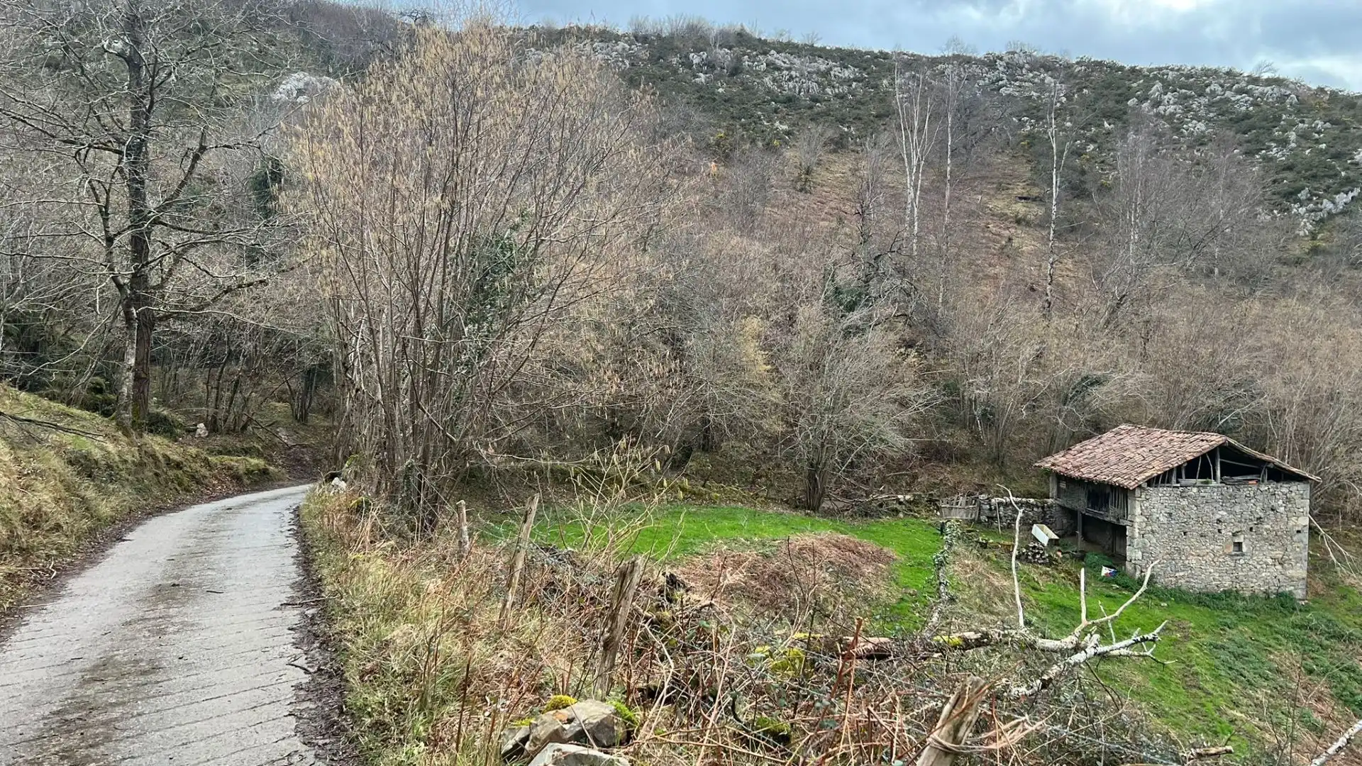 Terreno rustico in vendita a Cangas de Onís, imagen 22