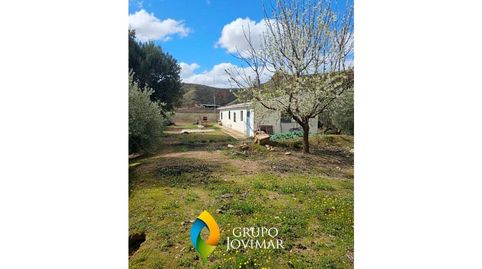 Foto 3 von Haus oder Chalet zum Verkauf in La Peza, Granada