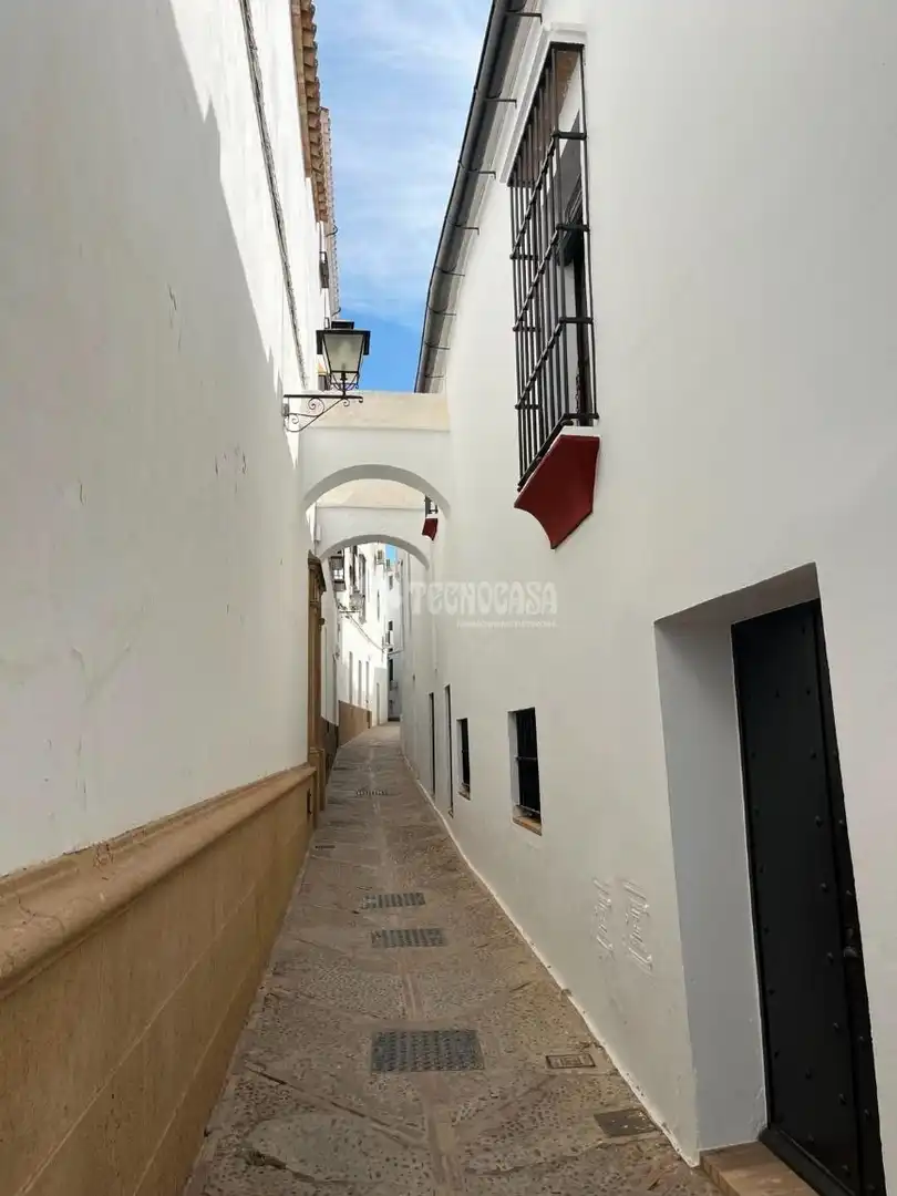 Vista exterior de Casa o xalet en venda en Carmona amb Aire condicionat, Calefacció i Moblat