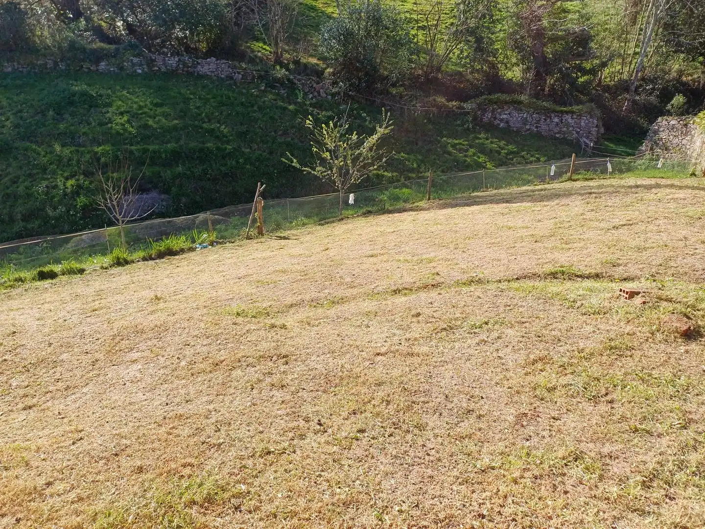 Casa o xalet en venda en Illas amb Terrassa, Traster i Piscina