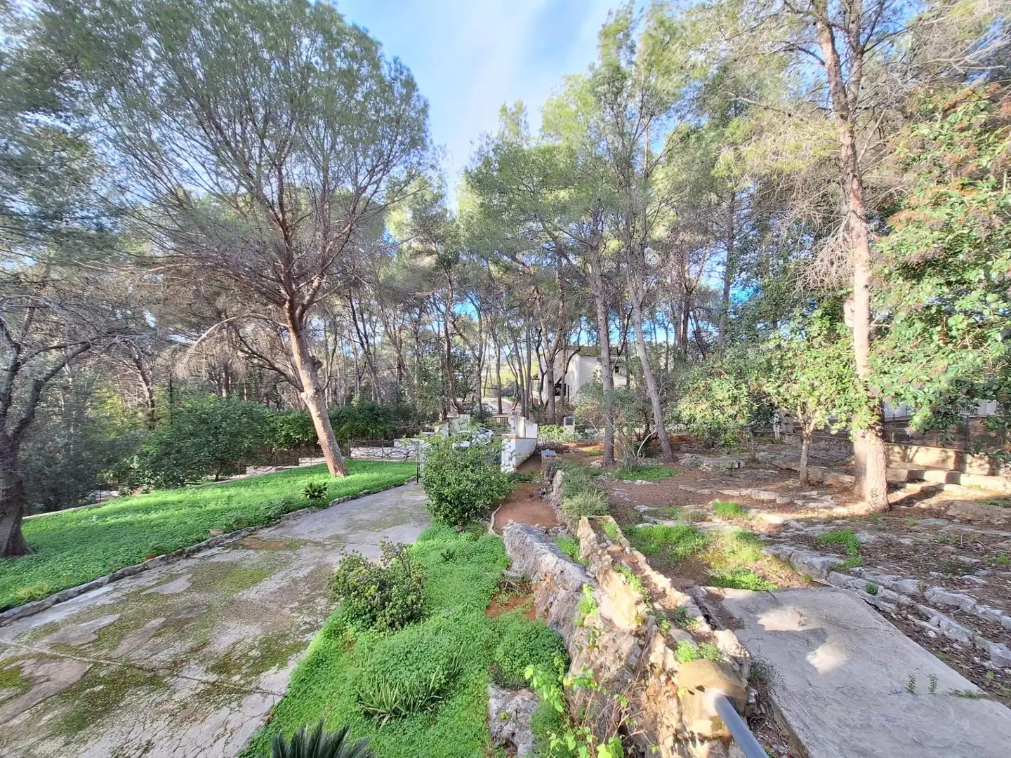 Detached house with pool for sale in Calle VALLETES BRU, imagen 17
