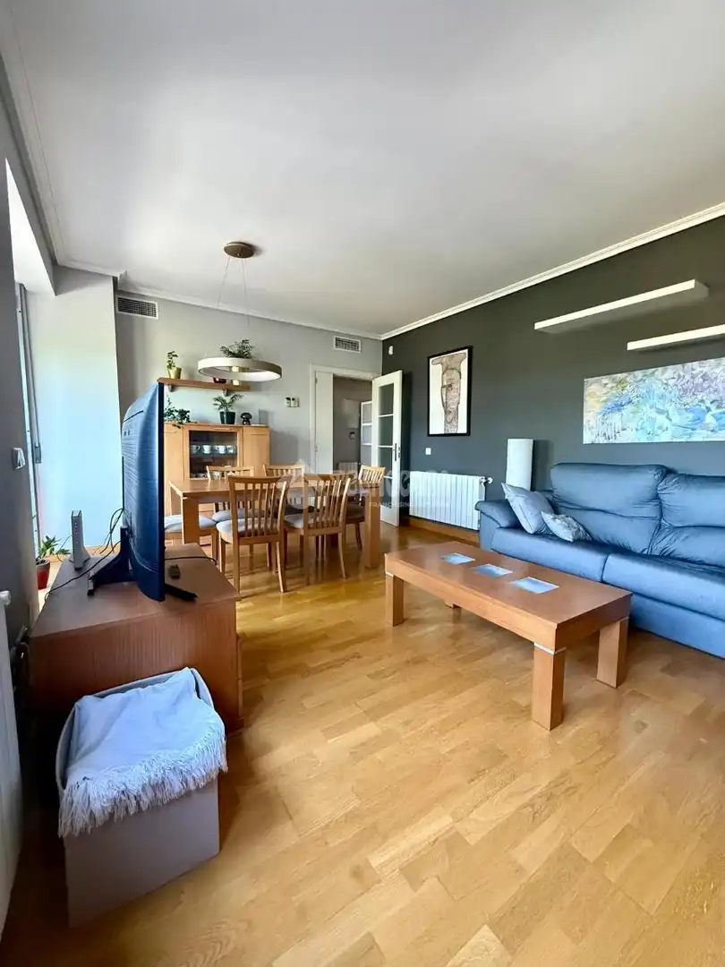 Sala d'estar de Pis en venda en Madrid amb Aire condicionat, Calefacció i Terrassa