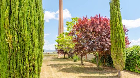 Foto 5 de Finca rústica en venda a Requena, Valencia