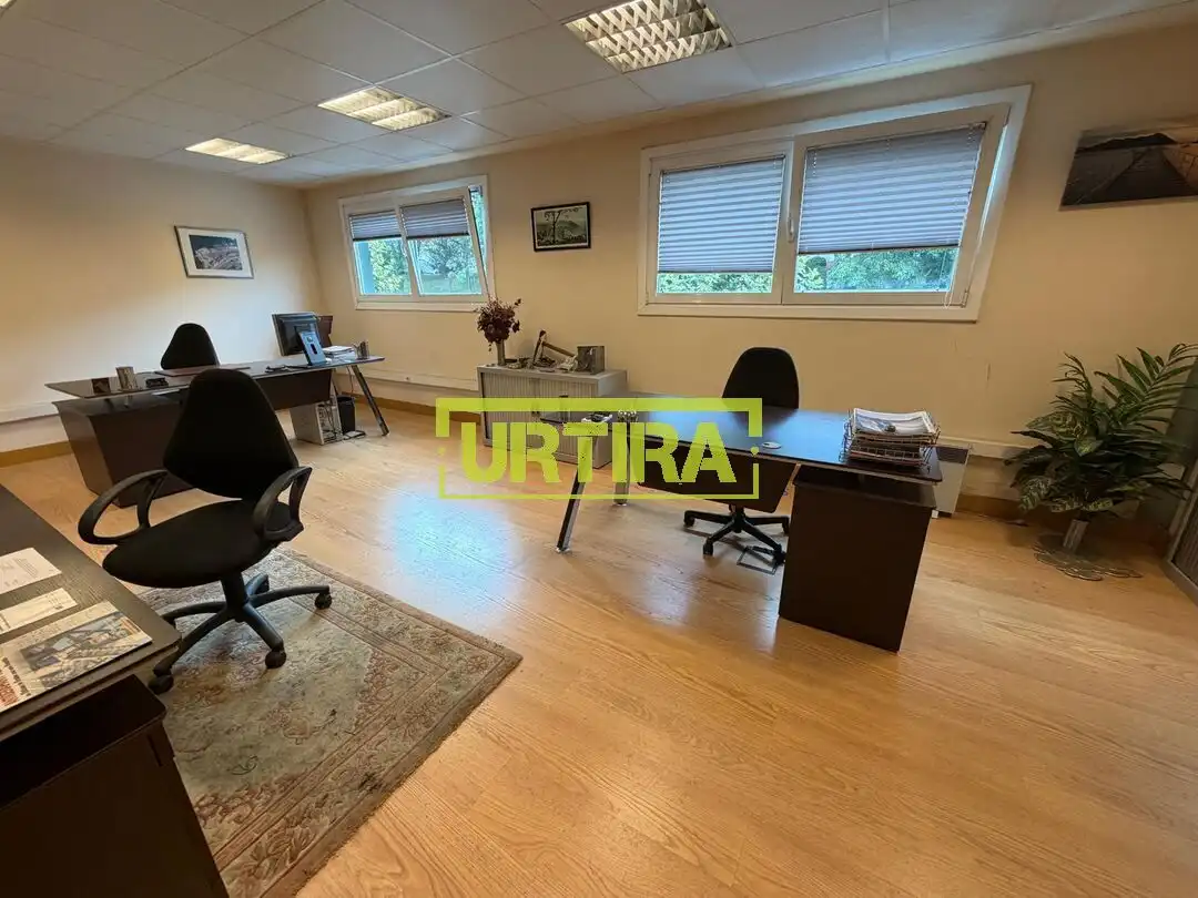 Industrial buildings for rent in Lezo