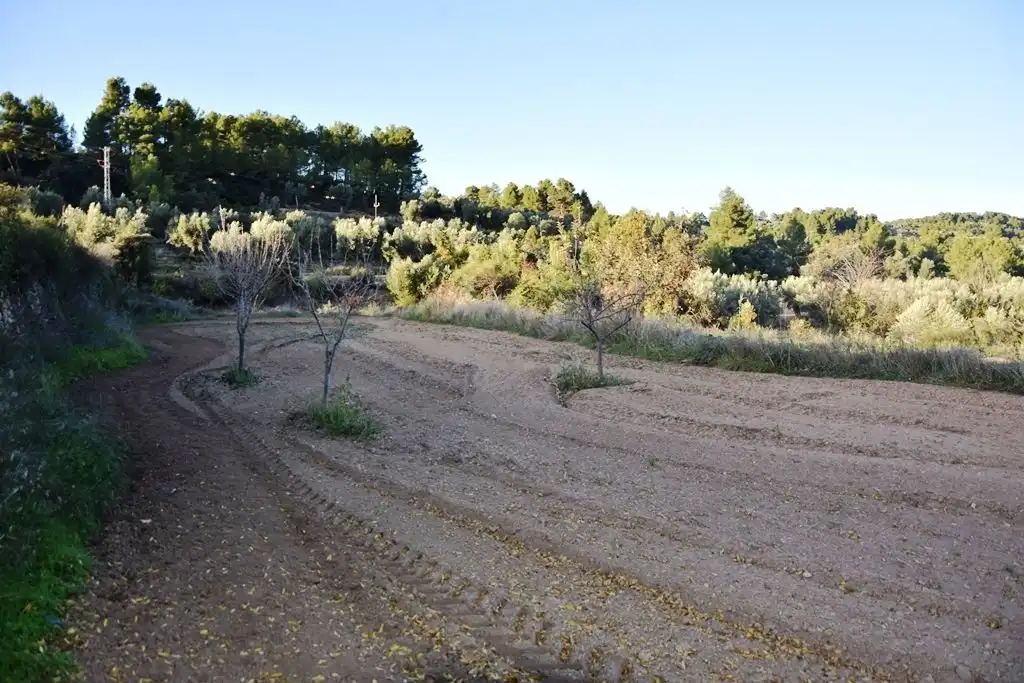 Rural land for sale in Horta de Sant Joan, imagen 4