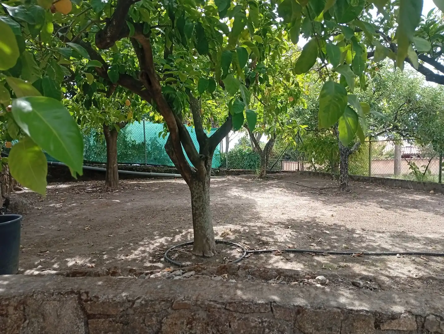 Haus mit Garten zum Verkauf in Villanueva de la Vera, imagen 52