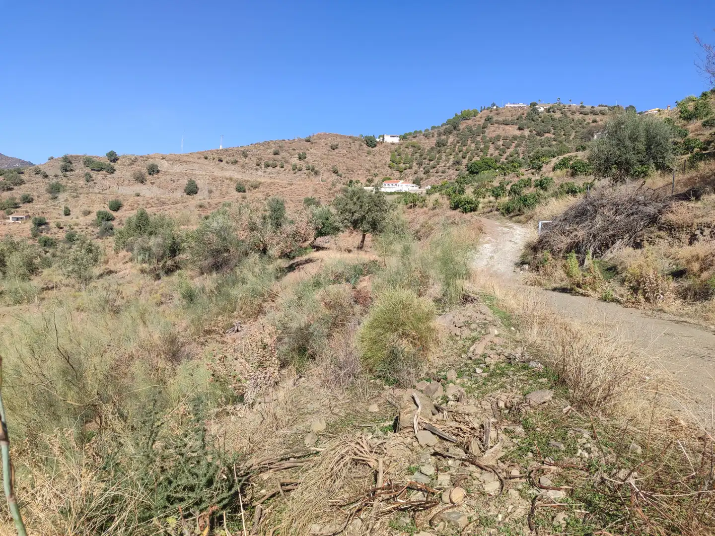 Terreny en venda en Algarrobo