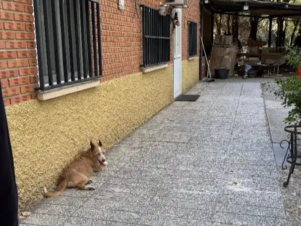Vista exterior de Terreno en venta en Paracuellos de Jarama
