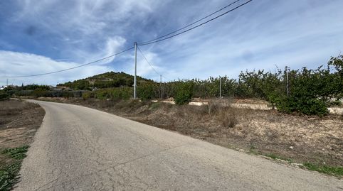 🌿 Finca rústica en plena producción  única a tan solo 1,5 km de Cehegín – ideal para chalet legal o casas rurales, immagine 3