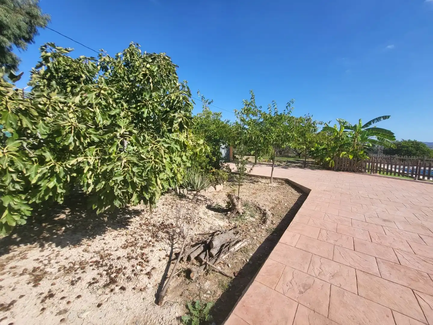 Casa con piscina in vendita a Nueva Aljaima - Las Tres Leguas - Los Mondeños, imagen 50
