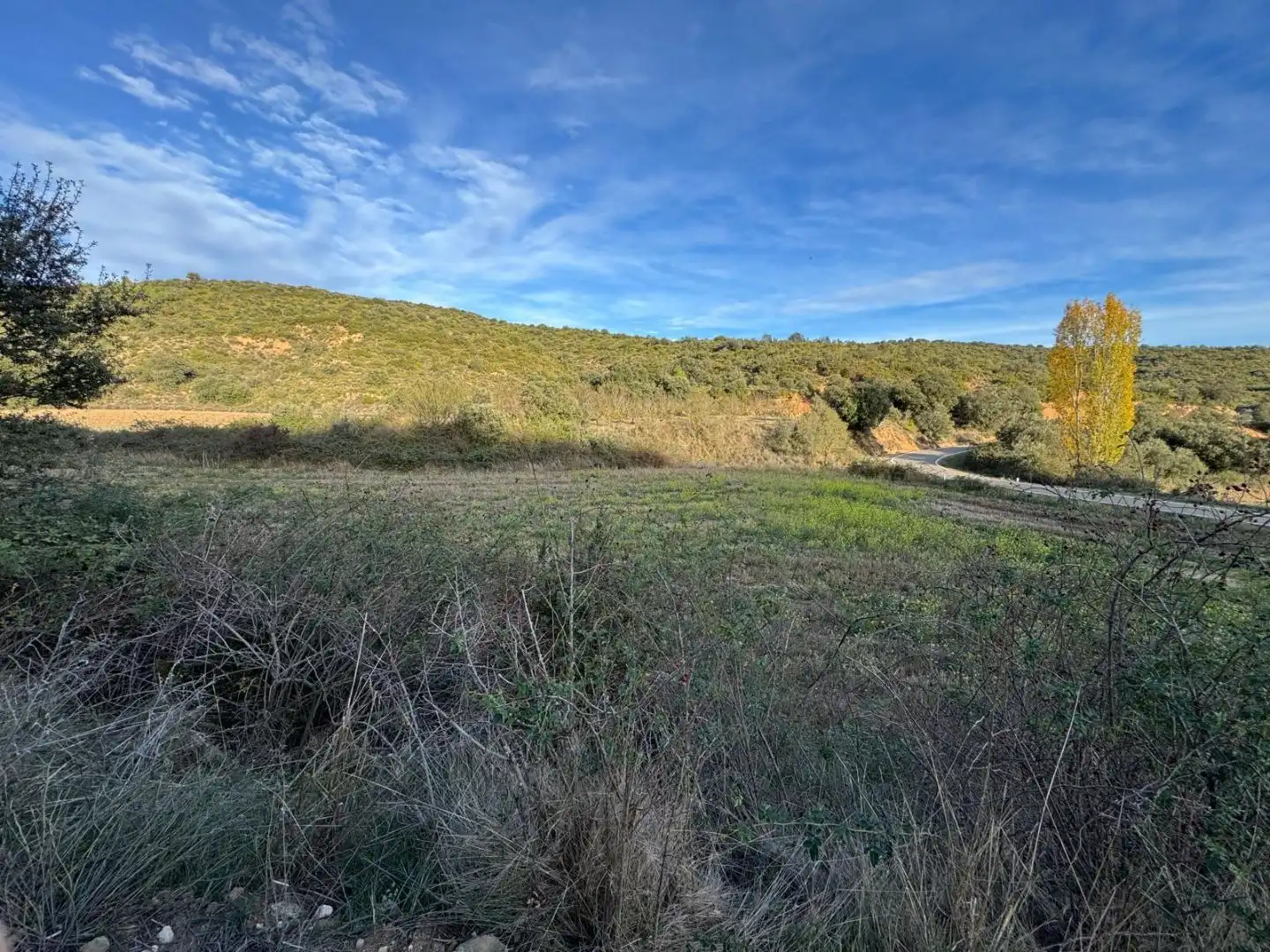 Land for sale in Peralta de Calasanz