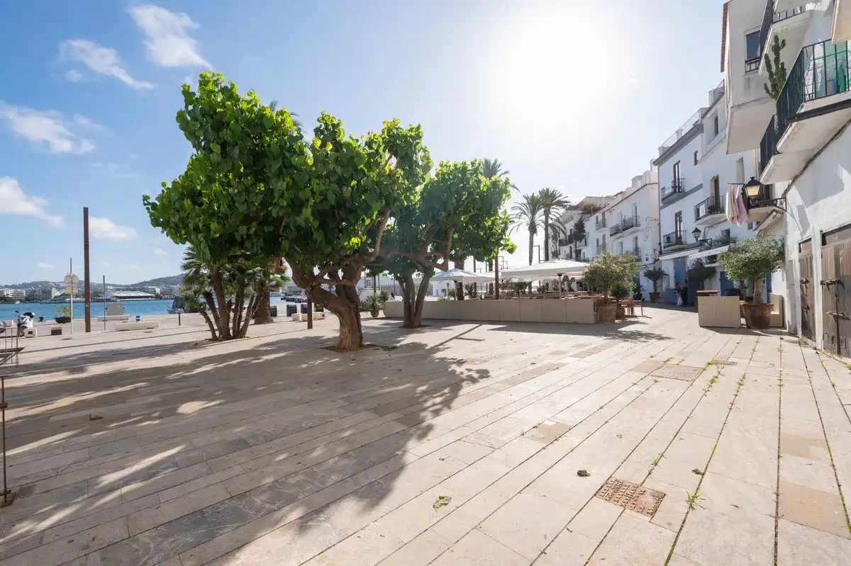 Local comercial en venta en Plaça de sa Riba, imagen 21