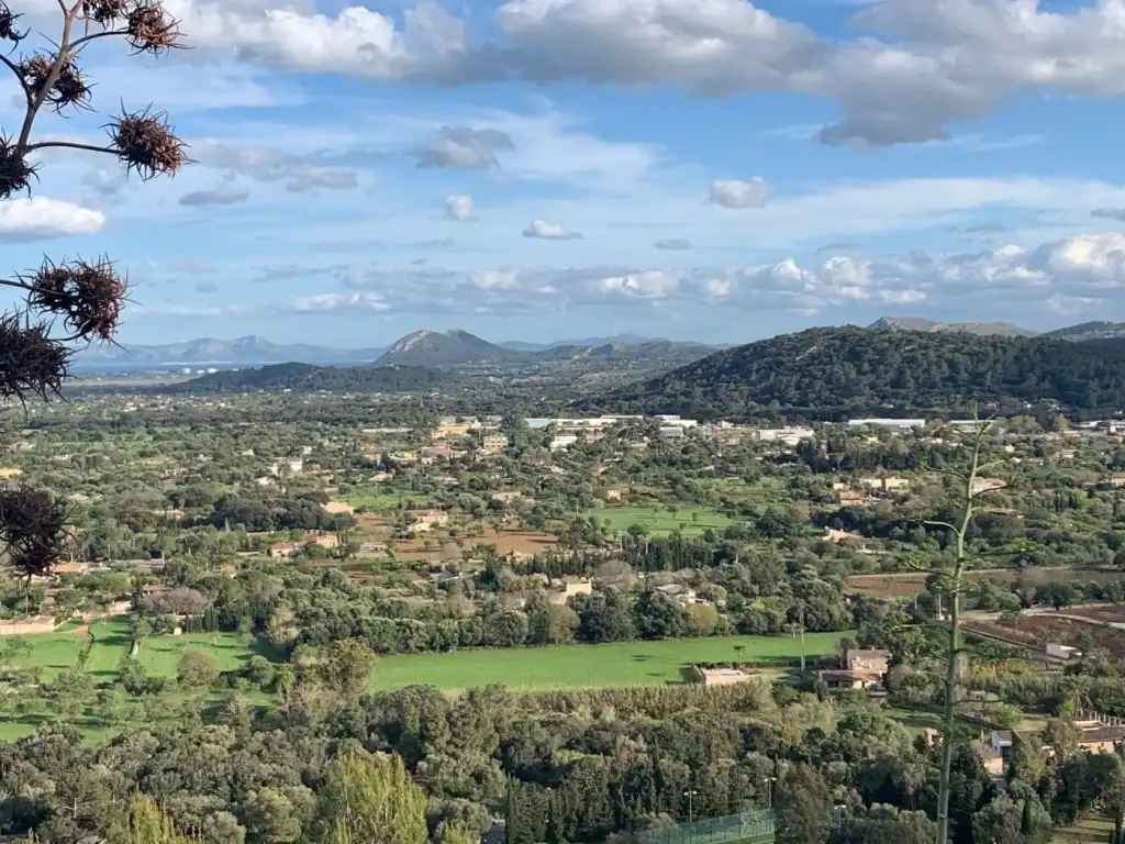 Rustikales Grundstück zum Verkauf in Pollença Poble, imagen 12