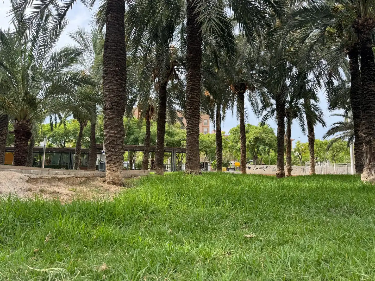 Jardí de Pis en venda en Elche / Elx amb Alarma