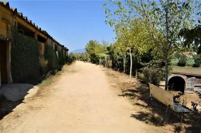 Terrenos y solares en venta en Mas Mora - Sant Daniel, imagen 40