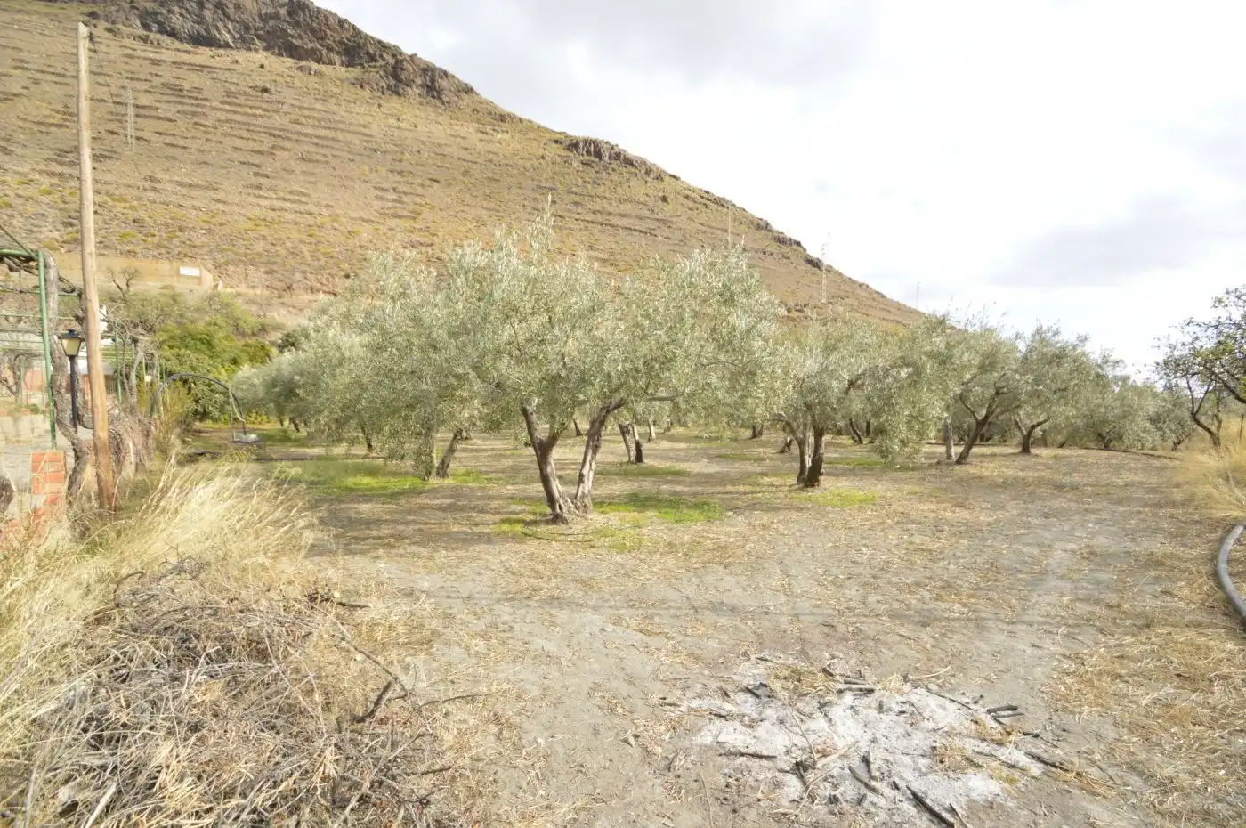 Finca rústica en venta en Gérgal