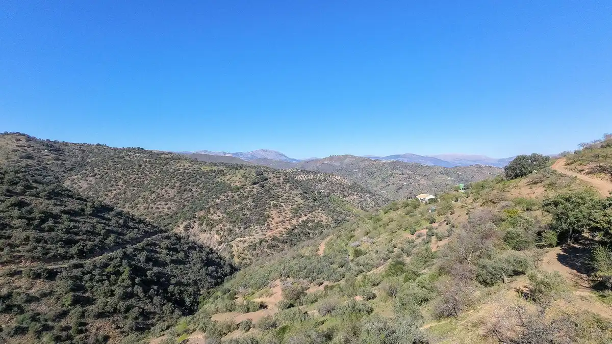 Terrenos y solares en venta en Este, imagen 11