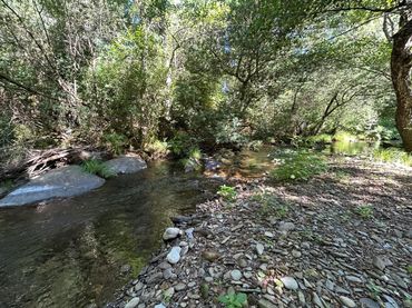 Terreno rustico in vendita a Villasbuenas de Gata