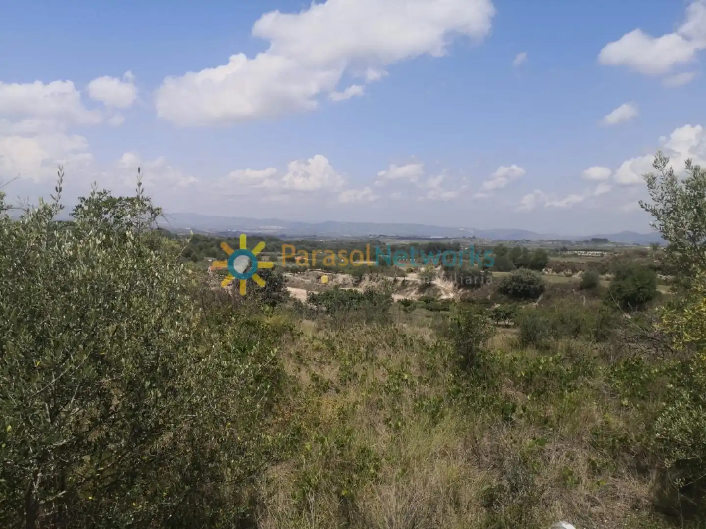 Terreny rústic en venda a Castelló de Rugat, imagen 10