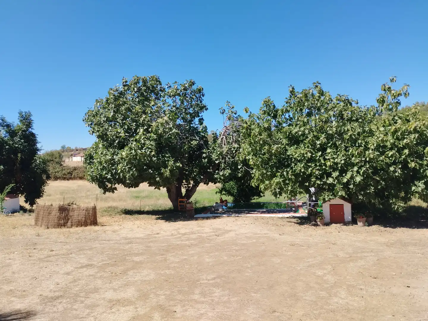 Country house with pool for sale in Zafra, imagen 28