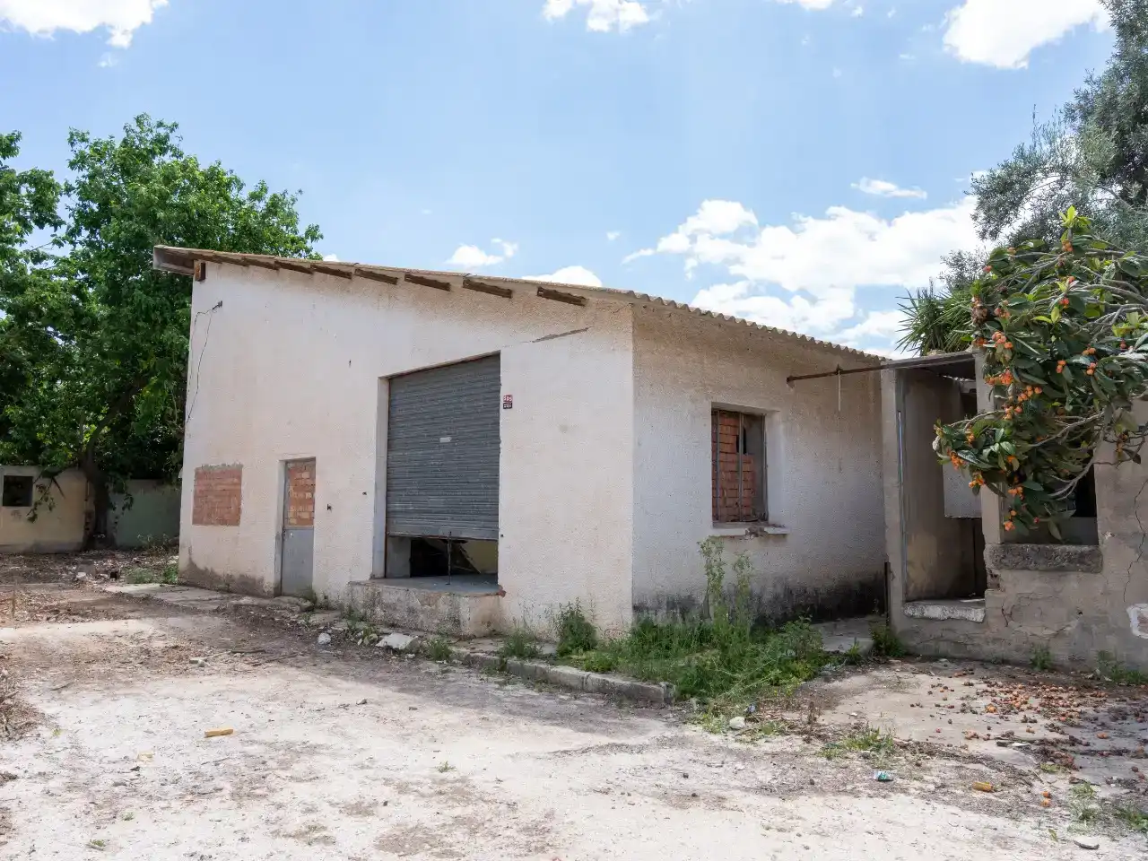 Vista exterior de Finca rústica en venda en Alicante / Alacant