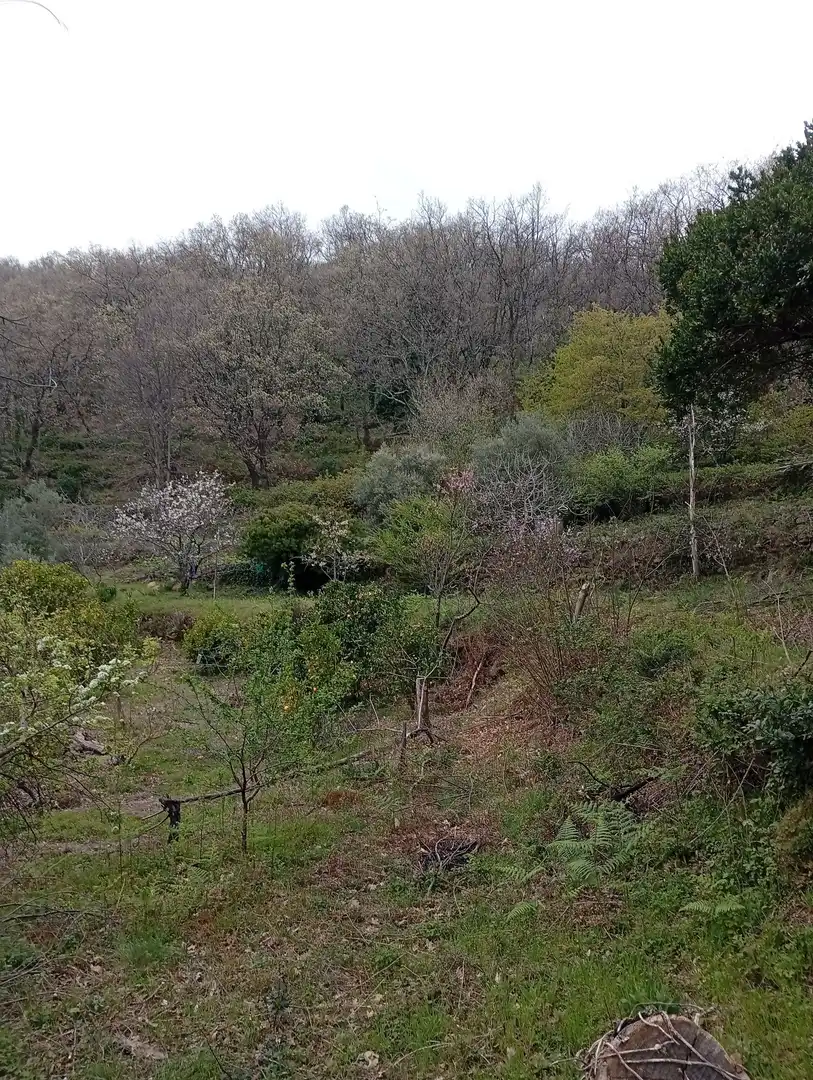 Terreni e lotti in vendita a Valverde de la Vera, imagen 65