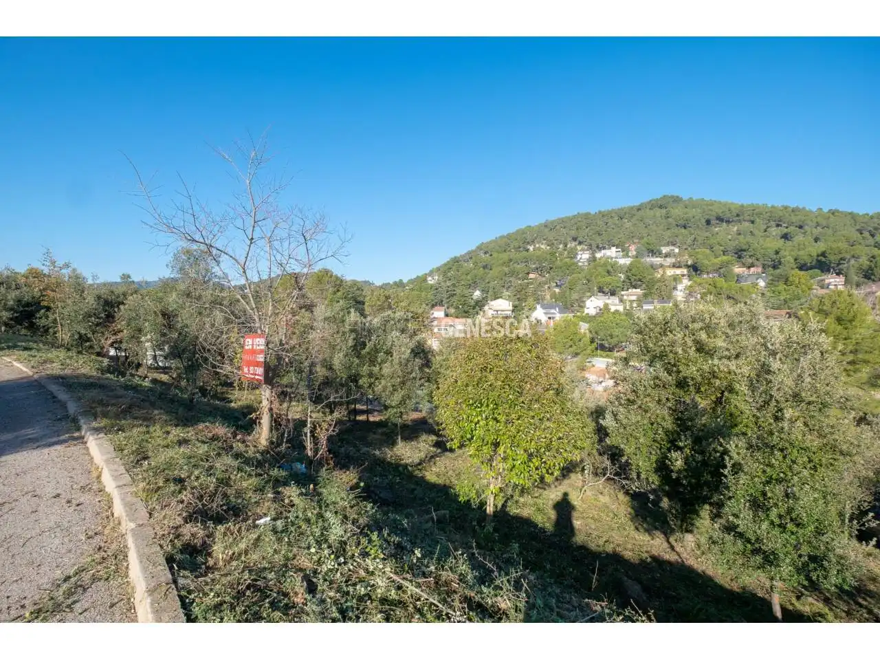 Wohnbaugrundstück zum Verkauf in Calle Poeta Maragall 34, imagen 6