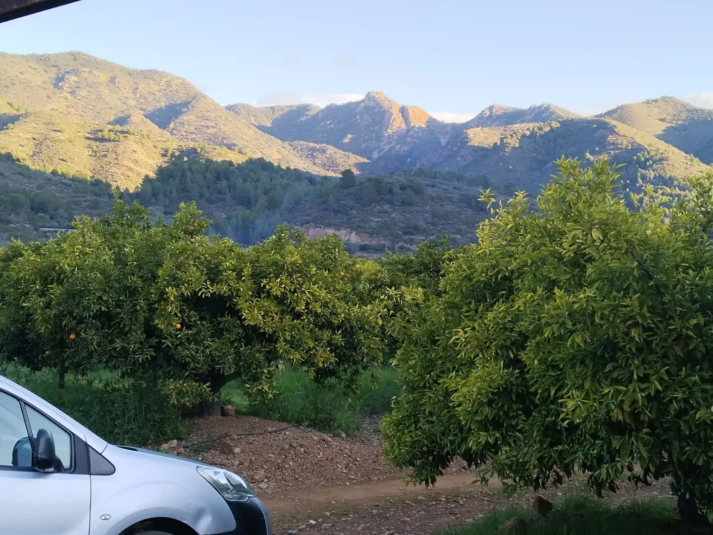 Exterior view of Land for sale in Alfondeguilla