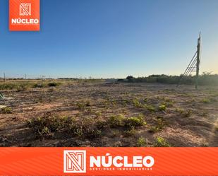 Land for sale in Torrevieja