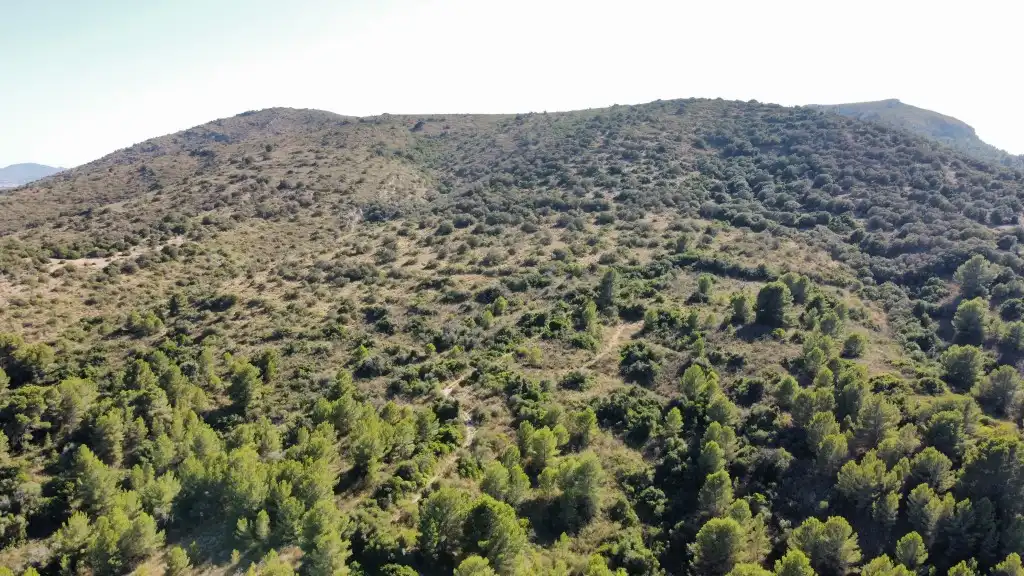Country house for sale in Sant Llorenç des Cardassar, imagen 8