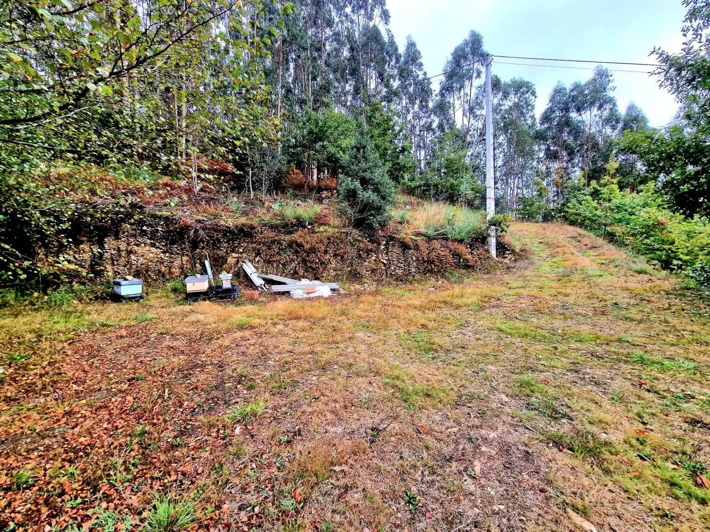 Haus mit Garten zum Verkauf in Ribadeo, imagen 36