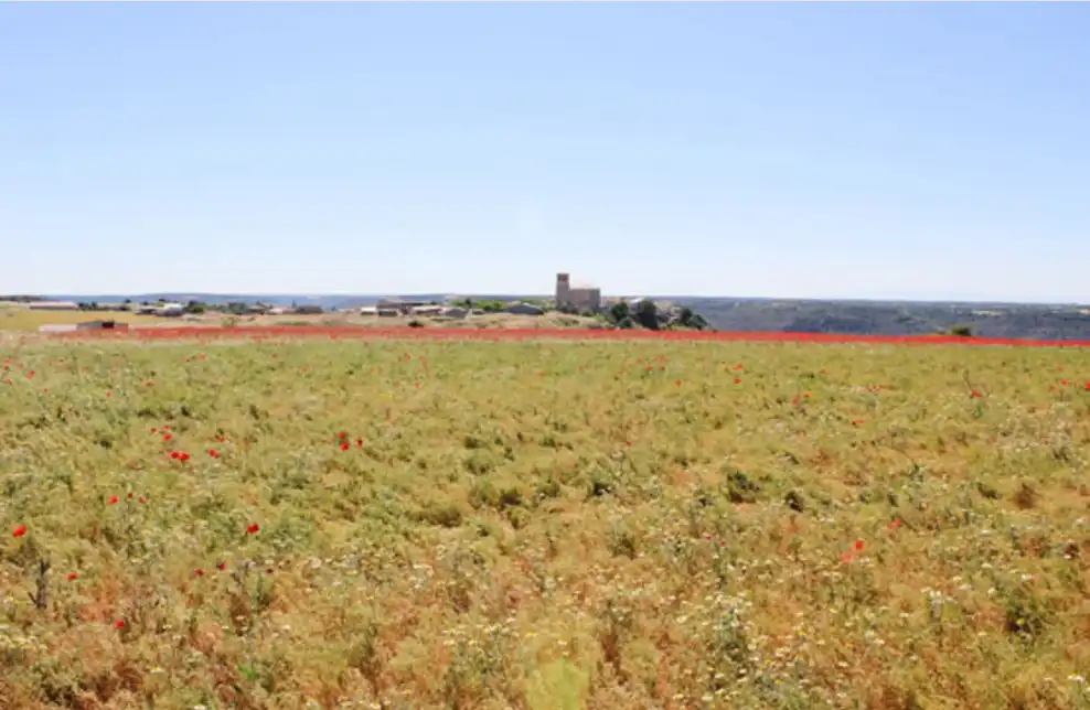 Terreno en venta en Valfermoso de Tajuña