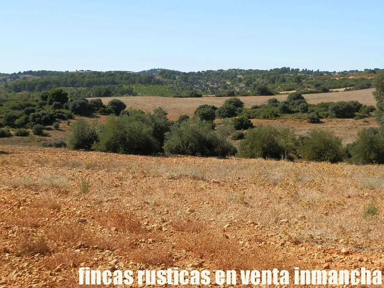 Terreno en venta en Albacete
