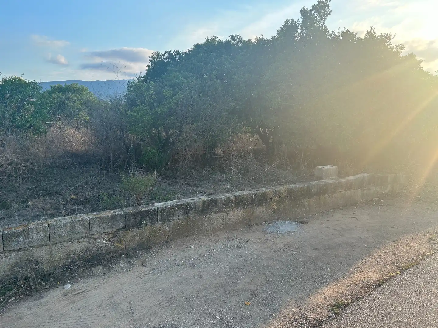 Terreny rústic en venda a Palma de Gandia, imagen 10