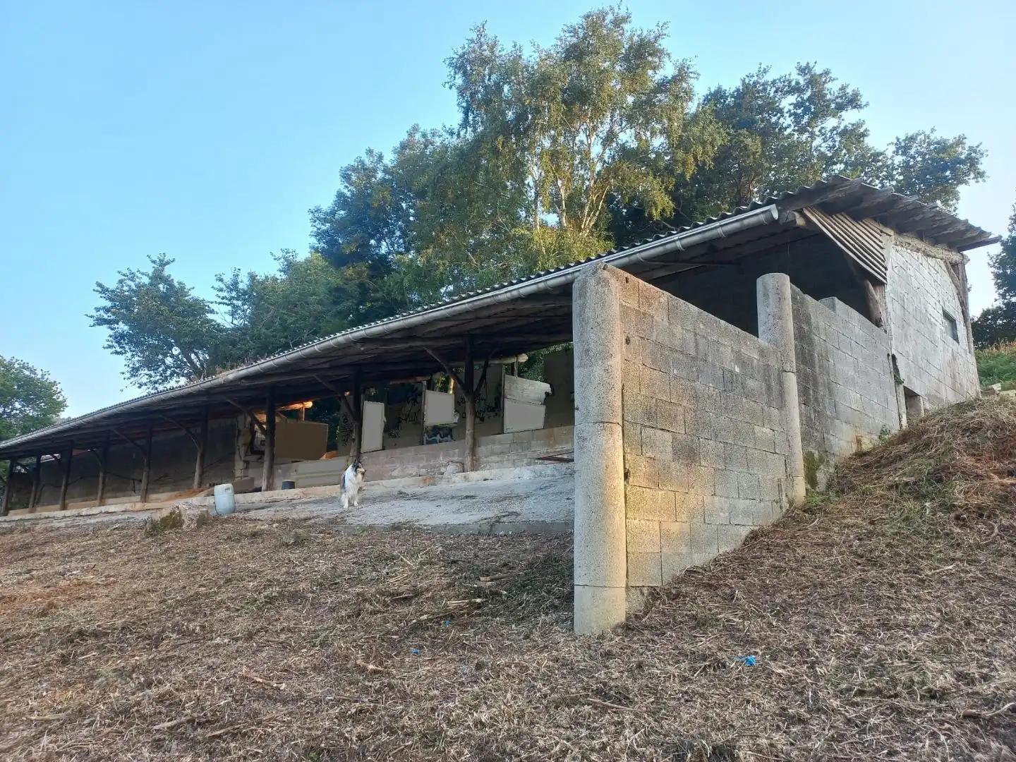 Vista exterior de Terreno en venta en Bakio
