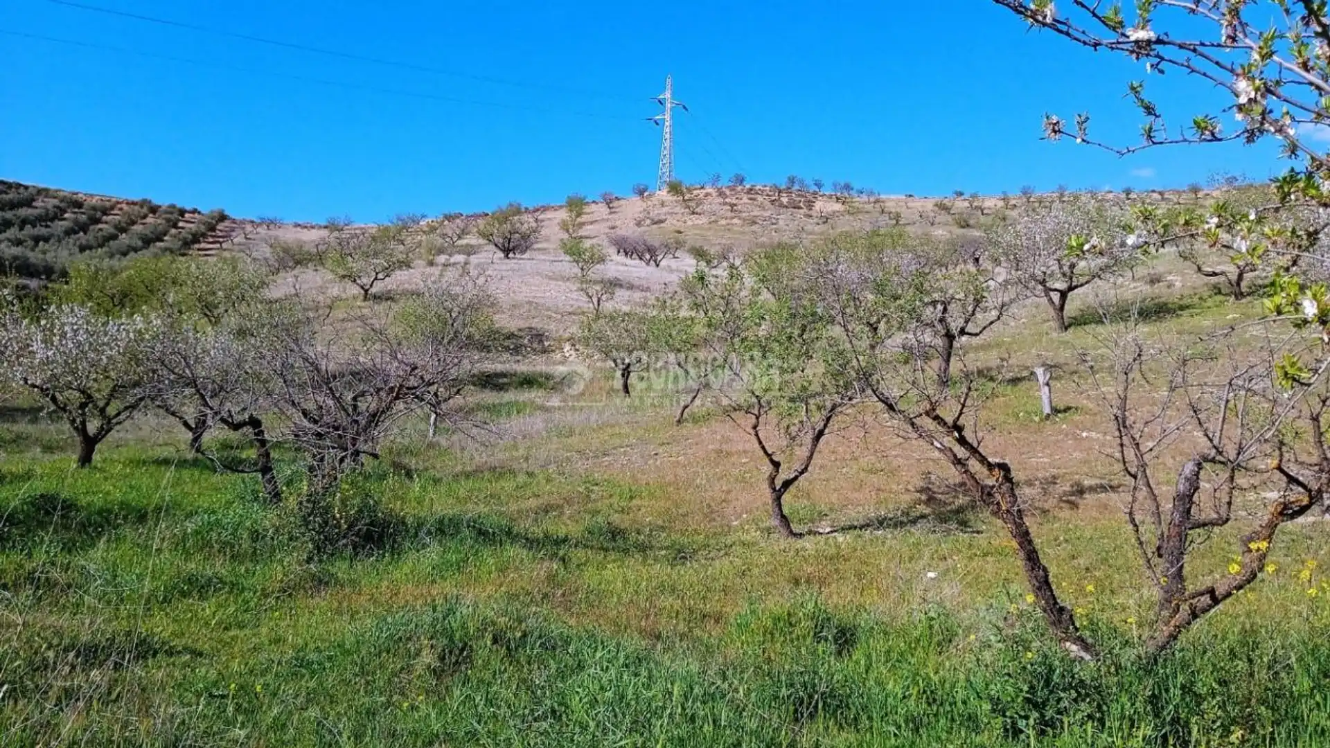 Terreno en venta en Ogíjares