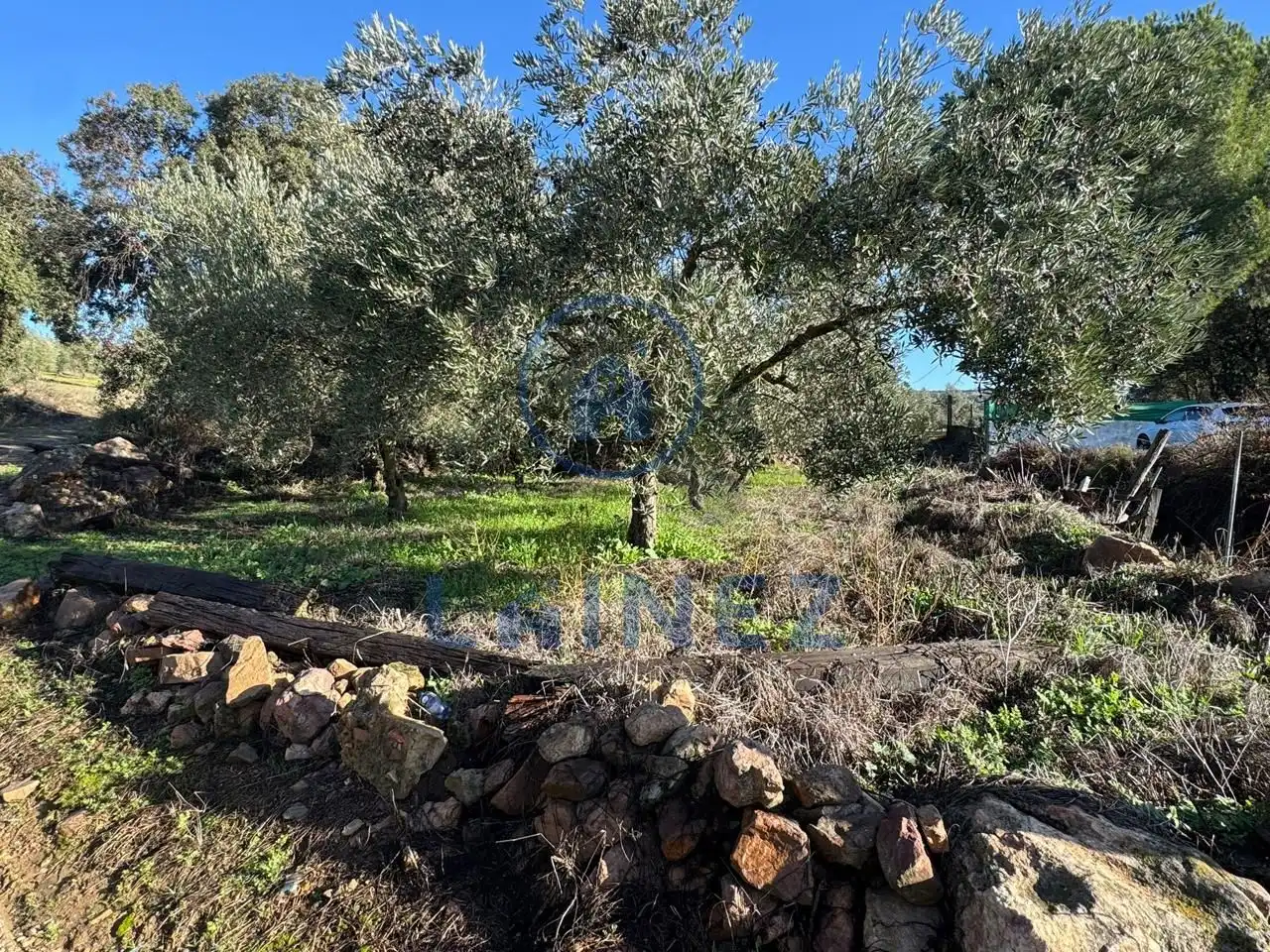 Terreno en venta en La Granjuela