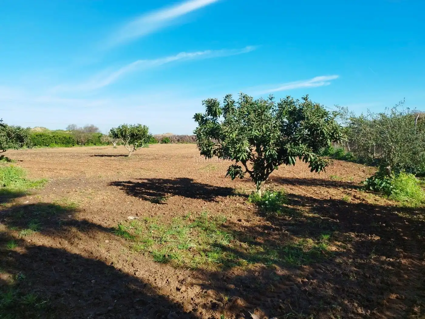 Terreno rustico in vendita a Carretera de Cazalla 27, imagen 2