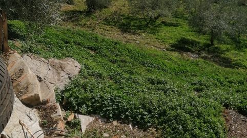 Foto 2 de Casa o chalet en venta en Barriada Don Ramón, 19, Gibralgalía, Cártama