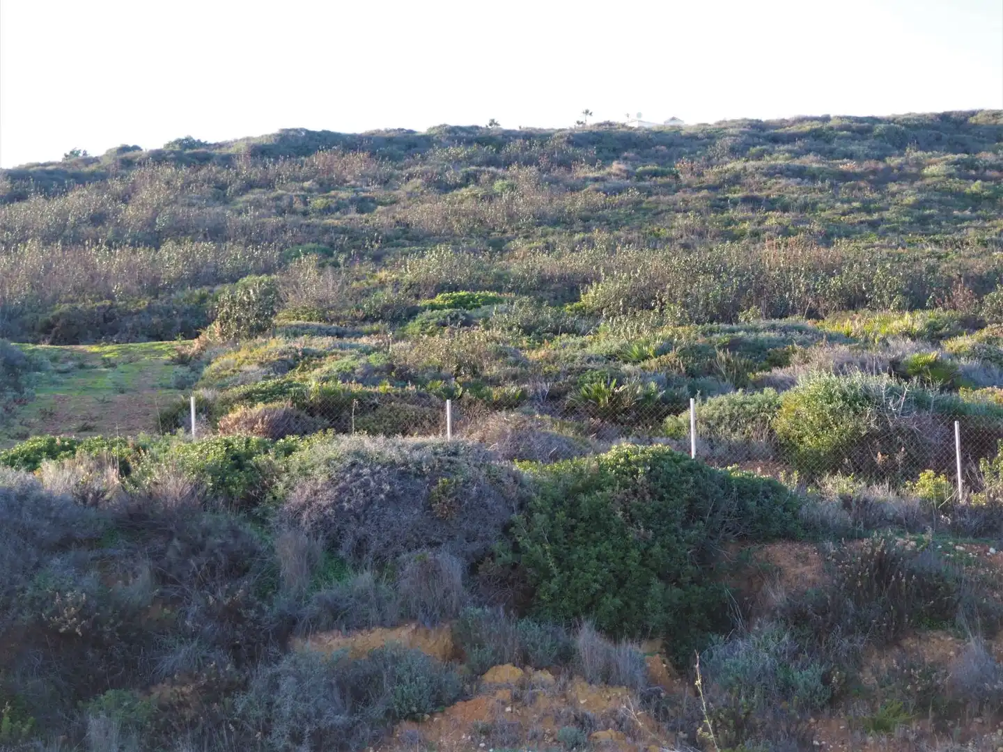 Terreny residencial en venda a Avenida Sierra Morena 32, imagen 9