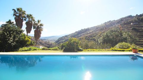 FINCA 74.000 m. AGUA, AGUACATES Y CÍTRICOS. ALOZAINA. MALAGA, imatge 3