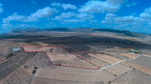 Parcela Urbanizable con agua 48.368 m Paraje Las Gamellejas Yecla, immagine 2