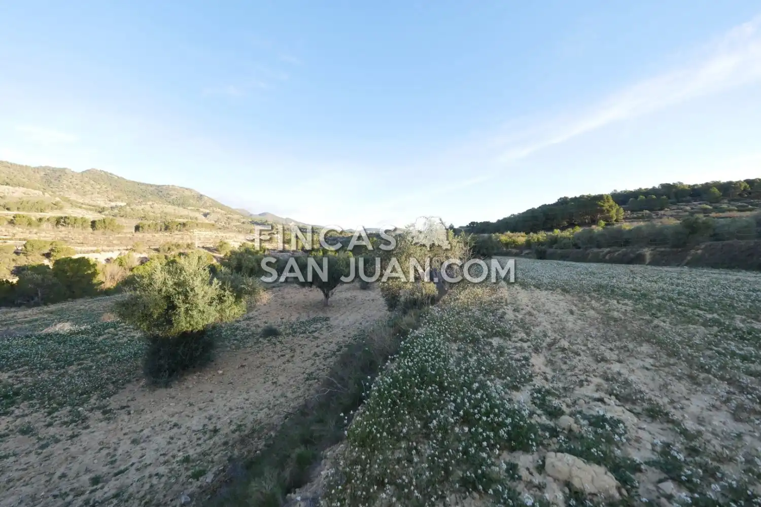 Terreny residencial en venda a Torremanzanas / La Torre de les Maçanes, imagen 14