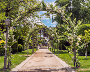 Garden of Flat for sale in  Madrid Capital  with Air Conditioner and Heating