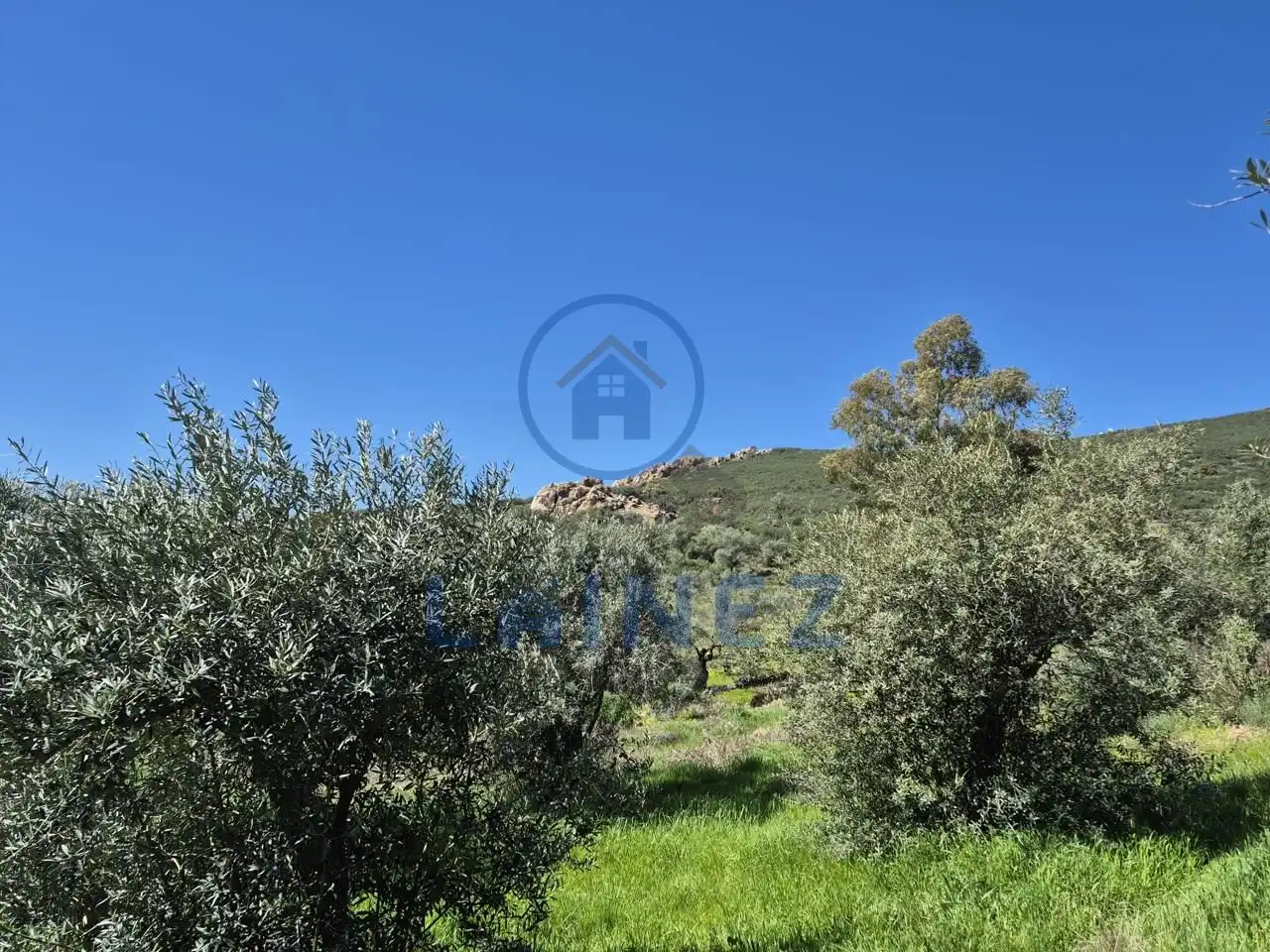 Grundstücke zum Verkauf in Peñarroya-Pueblonuevo