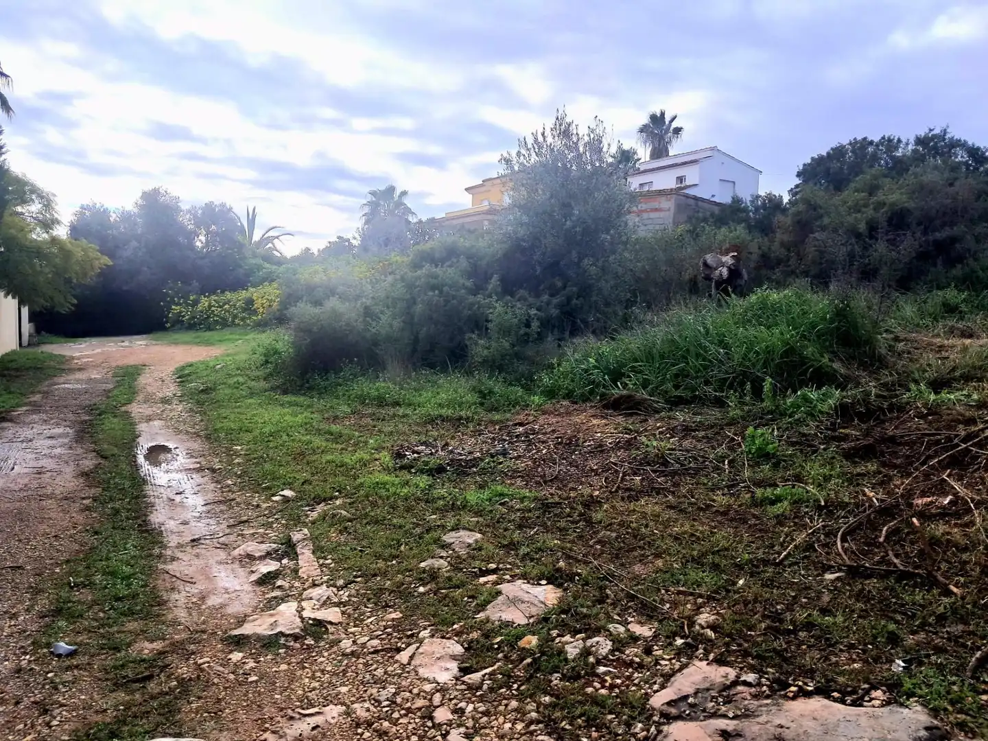 Terrenos y solares en venta en Calle El Pedregal, imagen 15