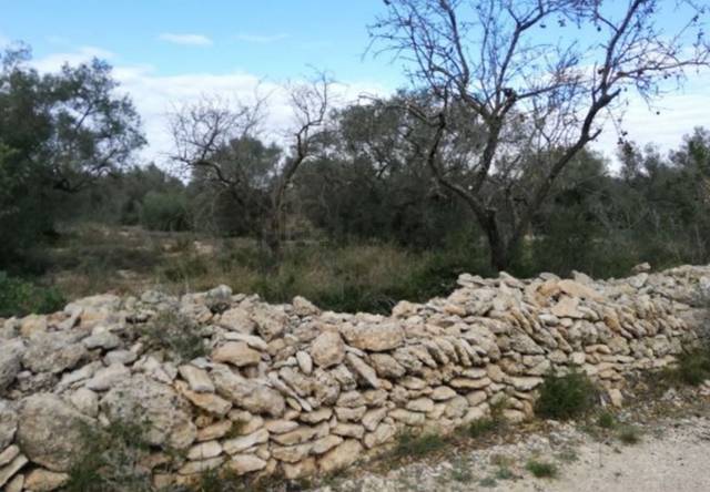 Terreno residencial en Venta en Polígono 9 en San Rafael del Río