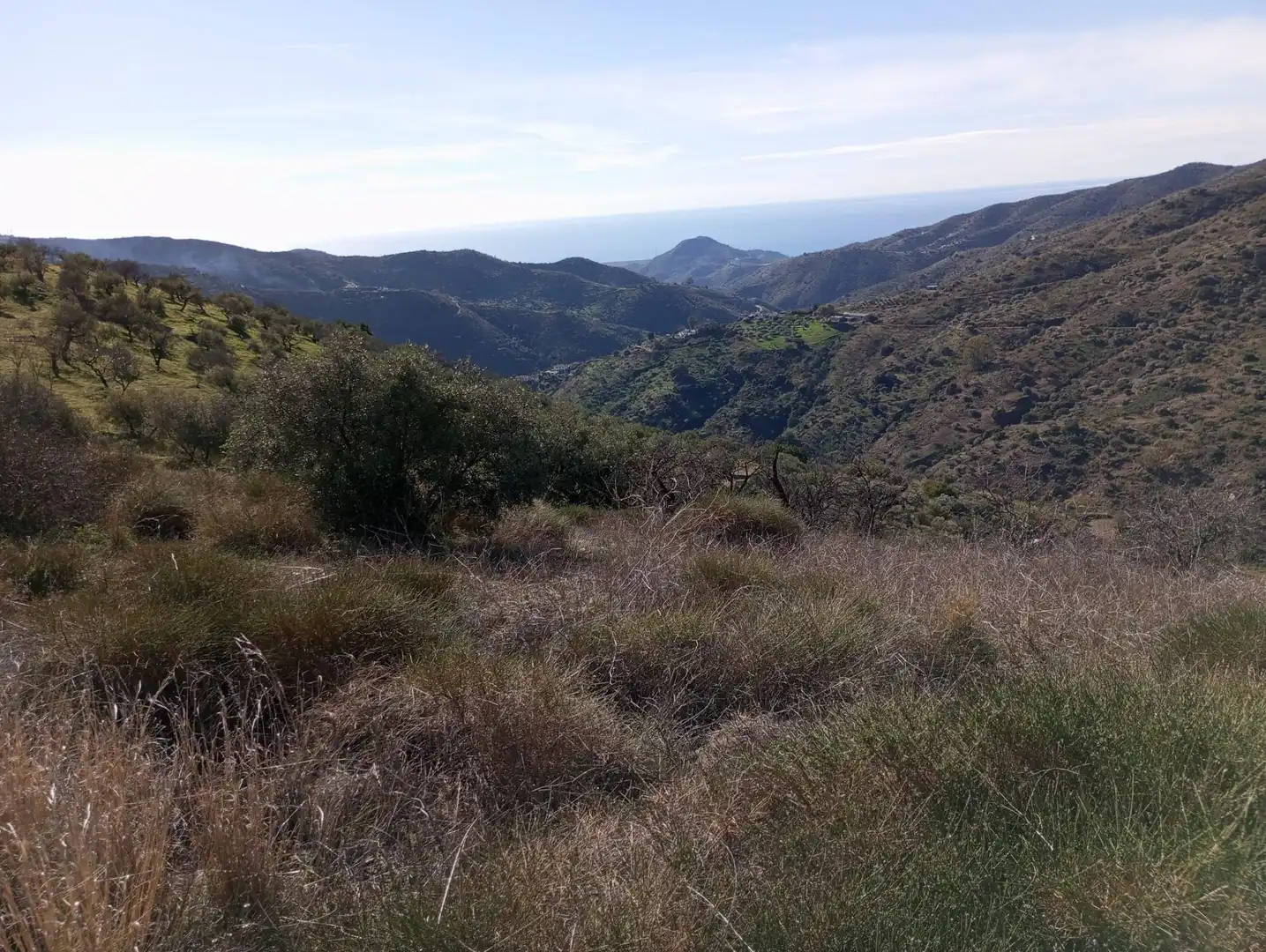 Exterior view of Land for sale in Málaga